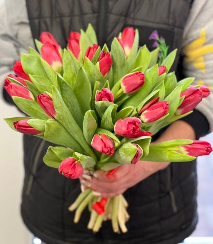 Купить букет из красных тюльпанов "Сабрина" с доставкой по Уварово